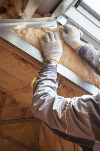 Best Cellulose Insulation in St Bonaventure, NY