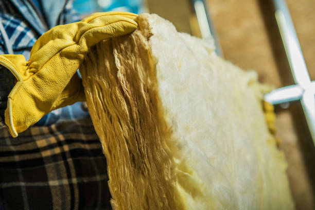 Best Eco-Friendly Insulation in St Bonaventure, NY